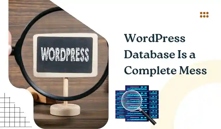 Your WordPress Database Is a Complete Mess