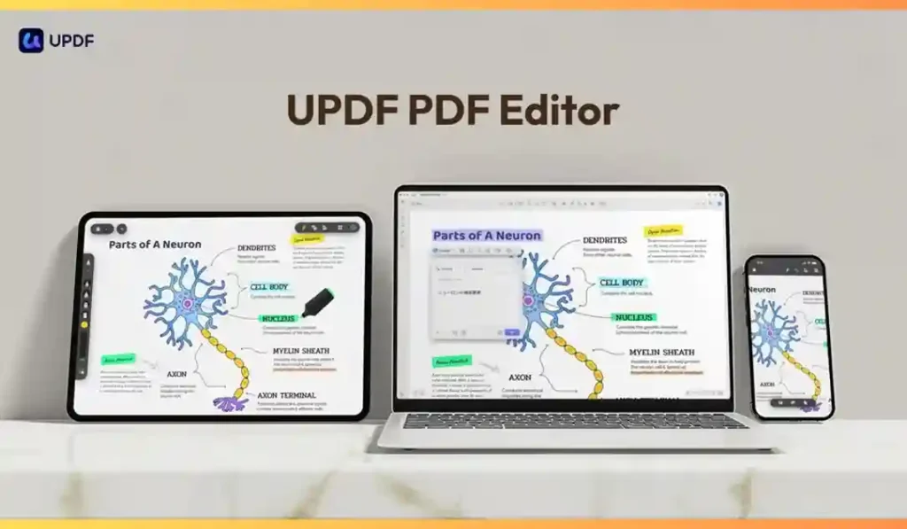 UPDF Review
