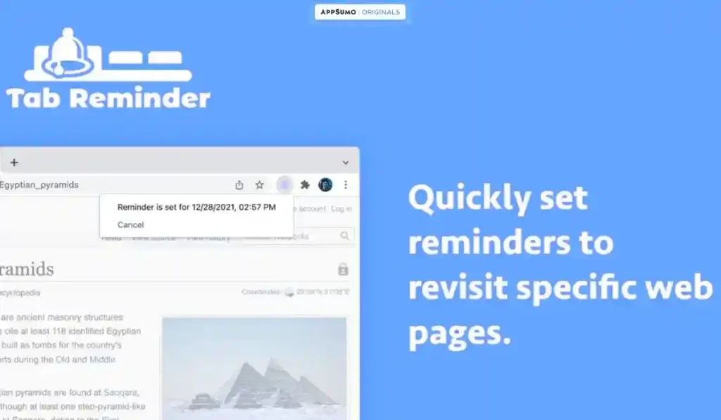 The Standout Feature: The "Set It and Forget It" Peace of Mind