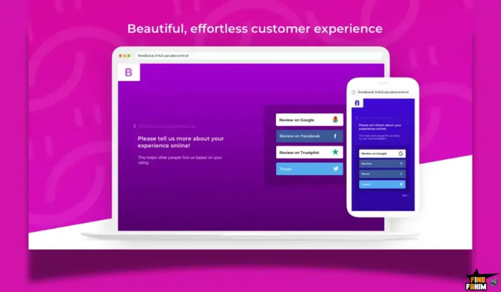 Feedback Link Lifetime Deal